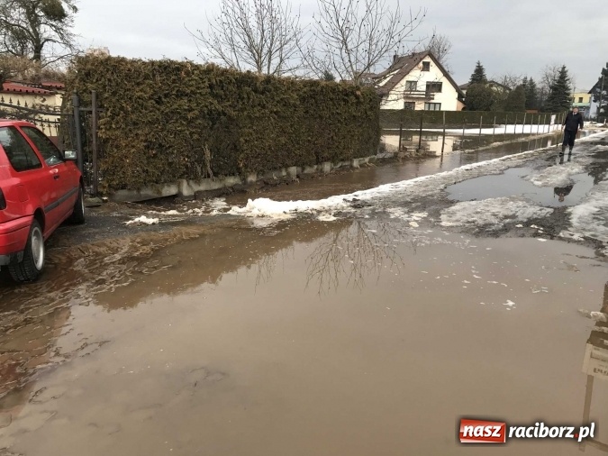 Zdjęcie w galerii na portalu naszraciborz.pl: Roztopy podtopiły domy przy ulicy Starowiejskiej w Raciborzu FOTO I WIDEO wiadomości z regionu
