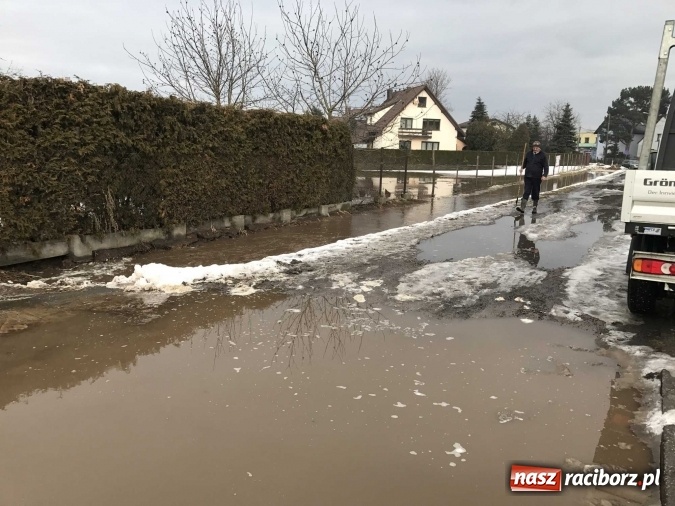 Zdjęcie w galerii na portalu naszraciborz.pl: Roztopy podtopiły domy przy ulicy Starowiejskiej w Raciborzu FOTO I WIDEO wiadomości z regionu