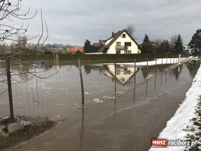 Zdjęcie w galerii na portalu naszraciborz.pl: Roztopy podtopiły domy przy ulicy Starowiejskiej w Raciborzu FOTO I WIDEO wiadomości z regionu