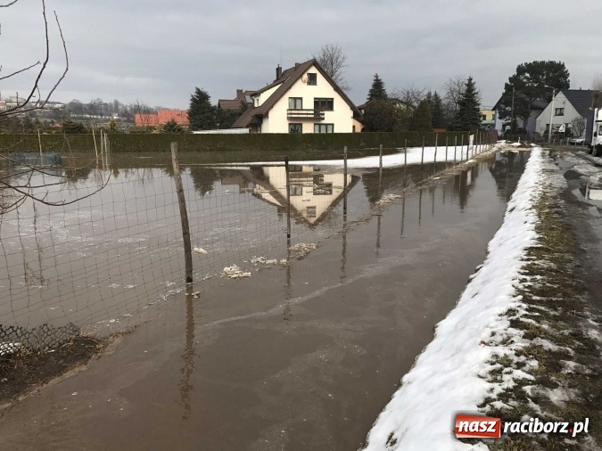 Zdjęcie w galerii na portalu naszraciborz.pl: Roztopy podtopiły domy przy ulicy Starowiejskiej w Raciborzu FOTO I WIDEO wiadomości z regionu
