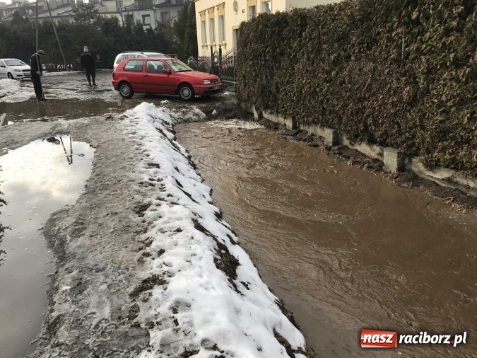 Zdjęcie w galerii na portalu naszraciborz.pl: Roztopy podtopiły domy przy ulicy Starowiejskiej w Raciborzu FOTO I WIDEO wiadomości z regionu