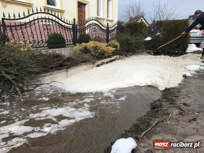 Zdjęcie w galerii na portalu naszraciborz.pl: Roztopy podtopiły domy przy ulicy Starowiejskiej w Raciborzu FOTO I WIDEO wiadomości z regionu