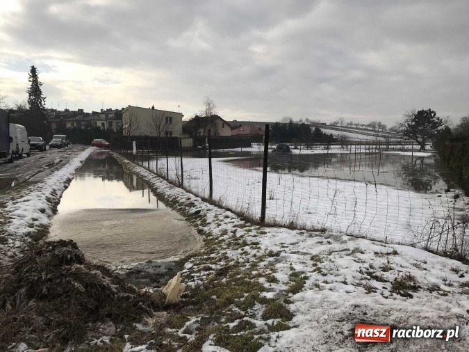 Zdjęcie w galerii na portalu naszraciborz.pl: Roztopy podtopiły domy przy ulicy Starowiejskiej w Raciborzu FOTO I WIDEO wiadomości z regionu