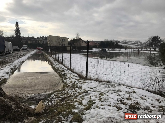 Zdjęcie w galerii na portalu naszraciborz.pl: Roztopy podtopiły domy przy ulicy Starowiejskiej w Raciborzu FOTO I WIDEO wiadomości z regionu