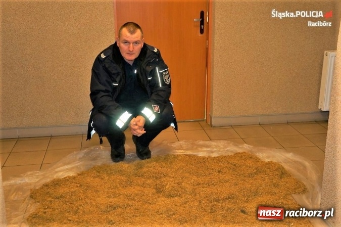 Zdjęcie w galerii na portalu naszraciborz.pl: Policjanci znaleźli kilkadziesiąt kilogram&oacute;w krajanki tytoniowej u mieszkańca powiatu raciborskiego wiadomości z regionu