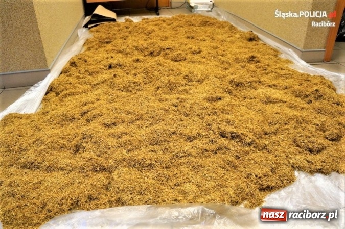 Zdjęcie w galerii na portalu naszraciborz.pl: Policjanci znaleźli kilkadziesiąt kilogram&oacute;w krajanki tytoniowej u mieszkańca powiatu raciborskiego wiadomości z regionu