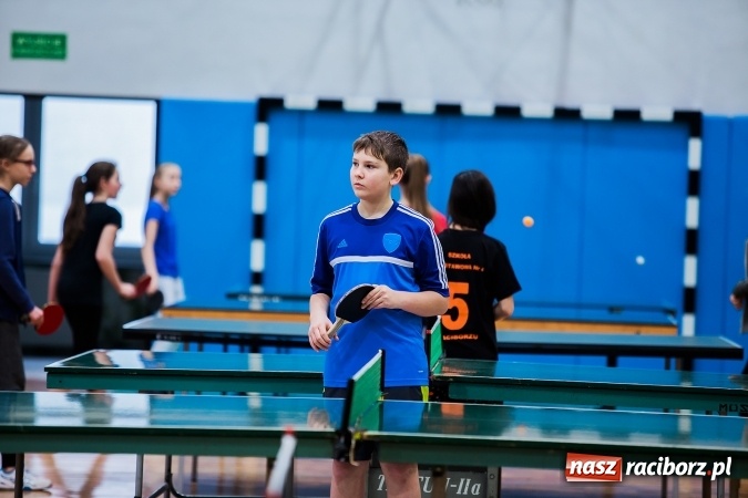 Zdjęcie w galerii na portalu naszraciborz.pl: Miejski finał podstawówek w tenisie stołowym wiadomości z regionu