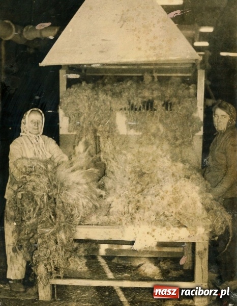 Zdjęcie w galerii na portalu naszraciborz.pl: Krystian Okręt o roszarni w Nędzy w latach świetności wiadomości z regionu