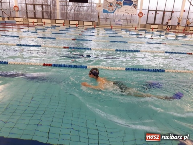 Zdjęcie w galerii na portalu naszraciborz.pl: Pływacy z ZSS i klubu Olimpiad Specjalnych Animusz na Narodowej Gali Halliwick wiadomości z regionu