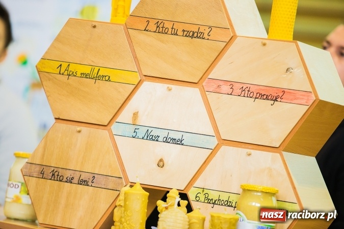 Zdjęcie w galerii na portalu naszraciborz.pl: Marcin Dubiel, znany youtuber odwiedził dziś uczni&oacute;w szkoły w Tworkowie wiadomości z regionu