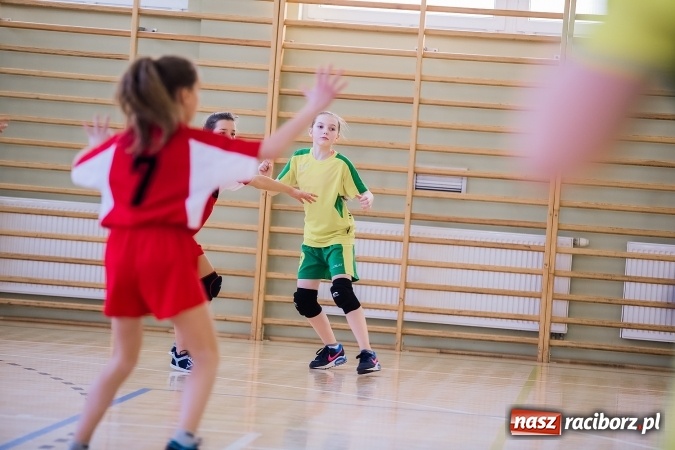 Zdjęcie w galerii na portalu naszraciborz.pl: 7. Turniej Piłki Ręcznej Dziewcząt o Puchar Starosty Raciborskiego wiadomości z regionu