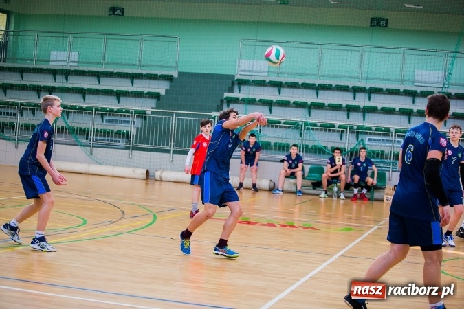 Zdjęcie w galerii na portalu naszraciborz.pl: Jastrzębski Węgiel i MOSM Tychy lepszy od młodzików AZS Rafako wiadomości z regionu