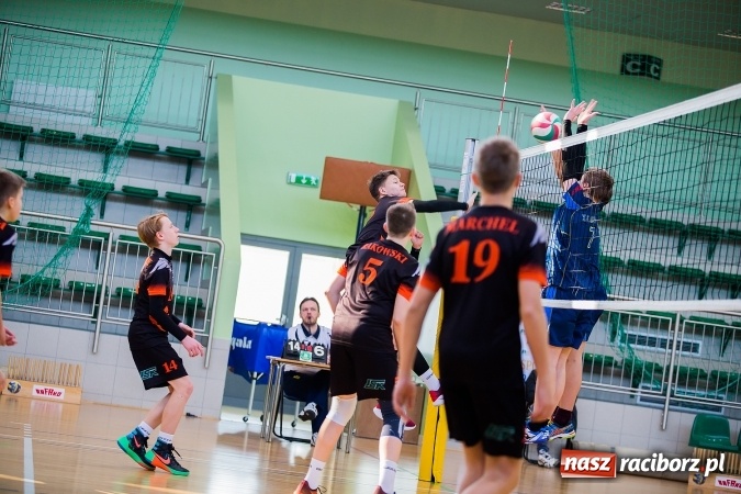 Zdjęcie w galerii na portalu naszraciborz.pl: Jastrzębski Węgiel i MOSM Tychy lepszy od młodzików AZS Rafako wiadomości z regionu