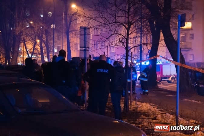 Zdjęcie w galerii na portalu naszraciborz.pl: Zakończyła się akcja przy Wojska Polskiego. Granaty i pociski zabezpieczone wiadomości z regionu