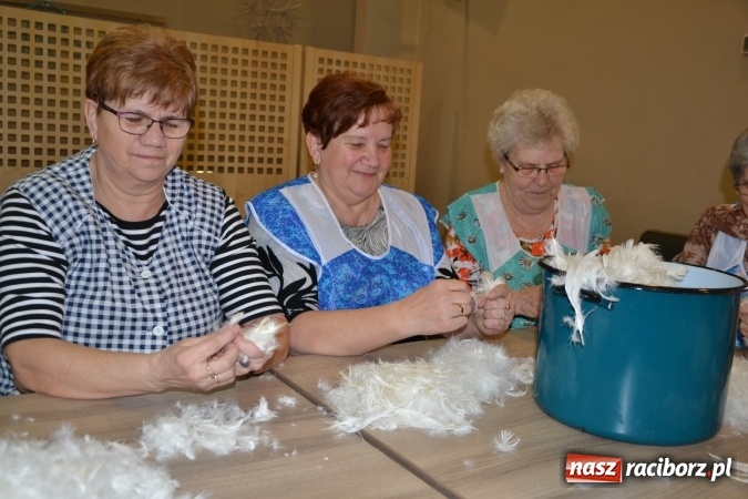 Zdjęcie w galerii na portalu naszraciborz.pl: Szkubanie piyrza w Tworkowie wiadomości z regionu