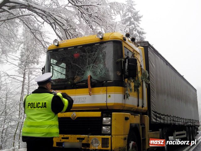 Zdjęcie w galerii na portalu naszraciborz.pl: Przydrożne drzewa bardzo groźne wiadomości z regionu