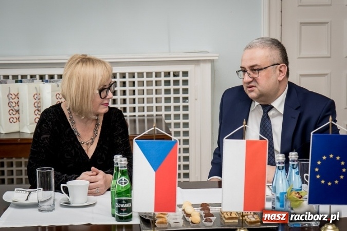 Zdjęcie w galerii na portalu naszraciborz.pl: Jak chronić powietrze? Delegacja Kraju Morawsko-Śląskiego w Katowicach wiadomości z regionu