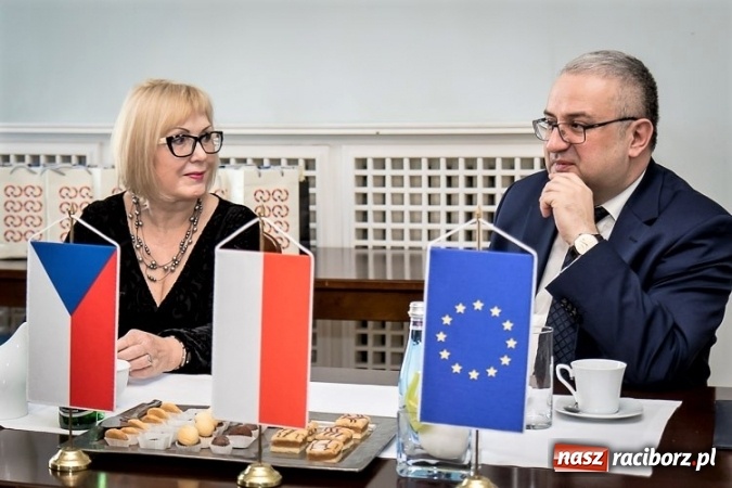 Zdjęcie w galerii na portalu naszraciborz.pl: Jak chronić powietrze? Delegacja Kraju Morawsko-Śląskiego w Katowicach wiadomości z regionu