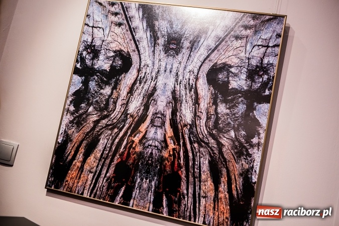 Zdjęcie w galerii na portalu naszraciborz.pl: Wystawa nauczycieli Liceum Plastycznego w Galerii Obok wiadomości z regionu