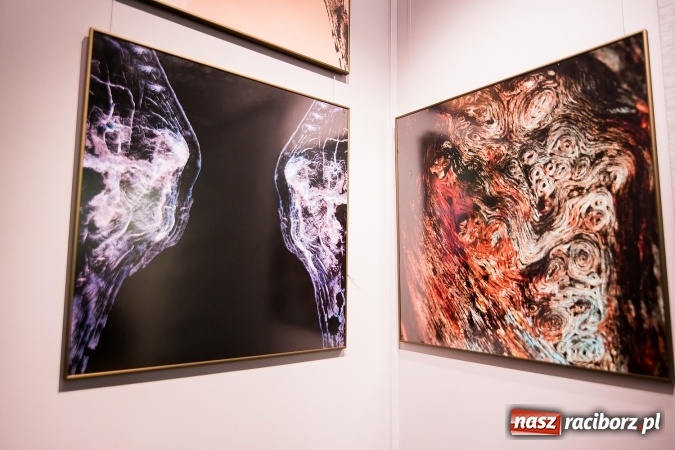 Zdjęcie w galerii na portalu naszraciborz.pl: Wystawa nauczycieli Liceum Plastycznego w Galerii Obok wiadomości z regionu