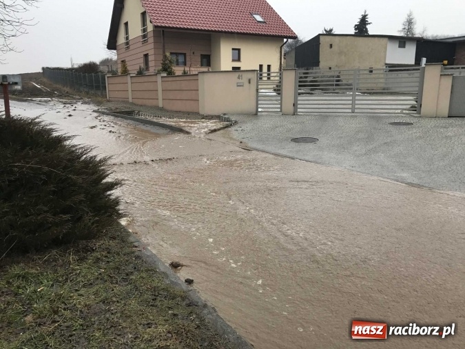 Zdjęcie w galerii na portalu naszraciborz.pl: Starowiejska i Ocicka w wodzie - opady zalewają jezdnię FOTO I WIDEO wiadomości z regionu