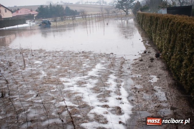 Zdjęcie w galerii na portalu naszraciborz.pl: Starowiejska i Ocicka w wodzie - opady zalewają jezdnię FOTO I WIDEO wiadomości z regionu