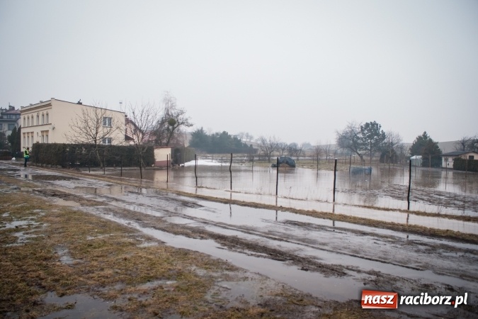 Zdjęcie w galerii na portalu naszraciborz.pl: Starowiejska i Ocicka w wodzie - opady zalewają jezdnię FOTO I WIDEO wiadomości z regionu