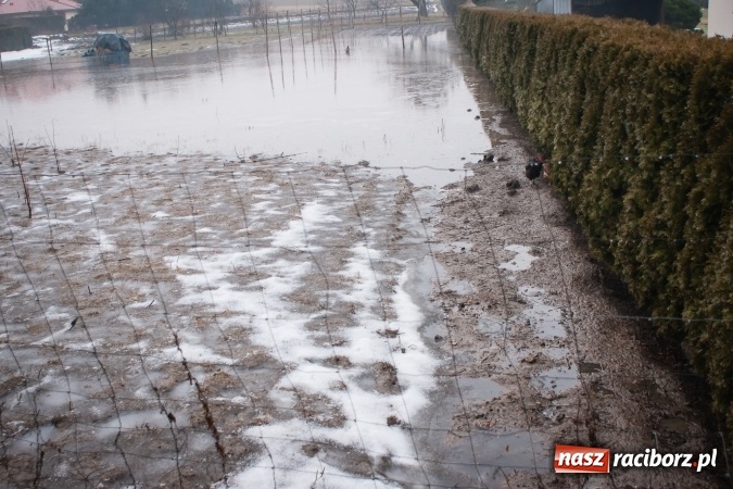 Zdjęcie w galerii na portalu naszraciborz.pl: Starowiejska - Kamienna znów tonie. Wystarczyło, że popadało. Wielkie rozlewisko wiadomości z regionu