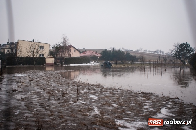 Zdjęcie w galerii na portalu naszraciborz.pl: Starowiejska - Kamienna znów tonie. Wystarczyło, że popadało. Wielkie rozlewisko wiadomości z regionu