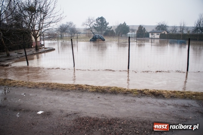 Zdjęcie w galerii na portalu naszraciborz.pl: Starowiejska - Kamienna znów tonie. Wystarczyło, że popadało. Wielkie rozlewisko wiadomości z regionu