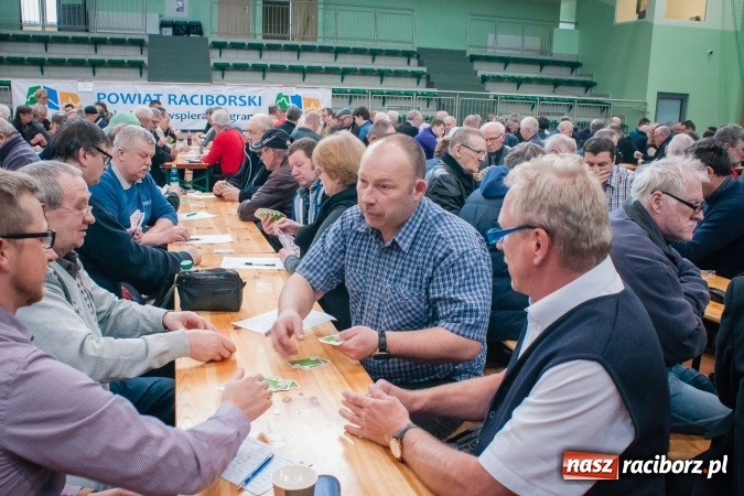 Zdjęcie w galerii na portalu naszraciborz.pl: Turniej Skata o Puchar Prezydenta Raciborza w Arenie Rafako wiadomości z regionu