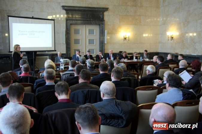 Zdjęcie w galerii na portalu naszraciborz.pl: Rolniku! Trzymaj drób w kurniku!  wiadomości z regionu