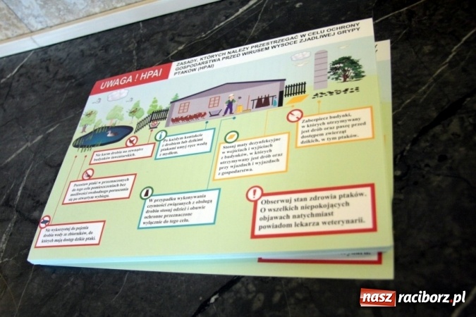 Zdjęcie w galerii na portalu naszraciborz.pl: Rolniku! Trzymaj drób w kurniku!  wiadomości z regionu