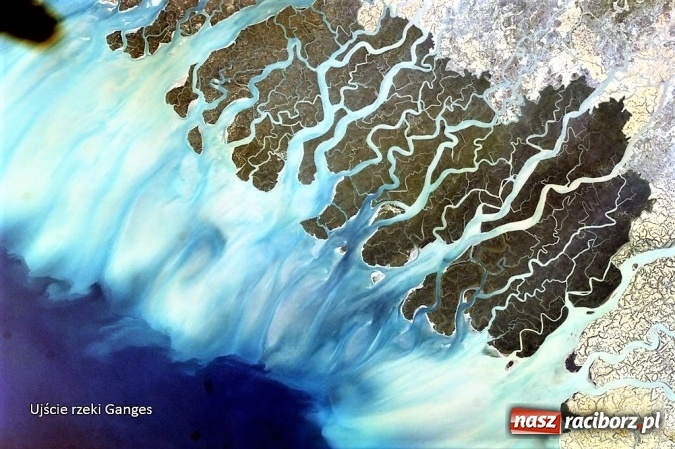 Zdjęcie w galerii na portalu naszraciborz.pl: Szkoła Podstawowa nr 1 realizuje projekt NASA wiadomości z regionu