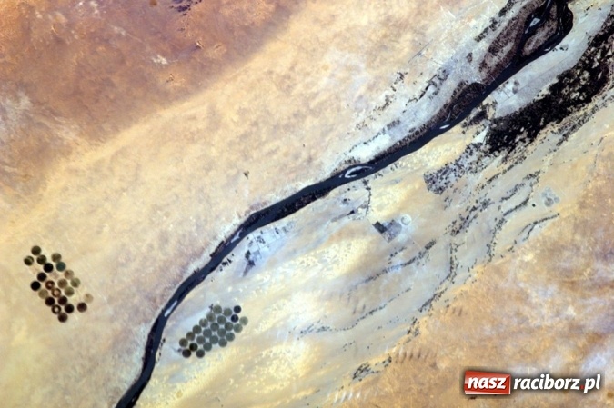 Zdjęcie w galerii na portalu naszraciborz.pl: Szkoła Podstawowa nr 1 realizuje projekt NASA wiadomości z regionu