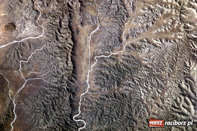 Zdjęcie w galerii na portalu naszraciborz.pl: Szkoła Podstawowa nr 1 realizuje projekt NASA wiadomości z regionu