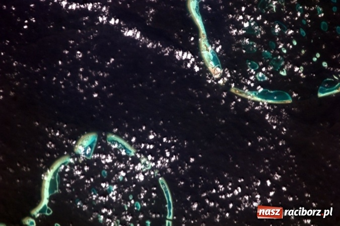 Zdjęcie w galerii na portalu naszraciborz.pl: Szkoła Podstawowa nr 1 realizuje projekt NASA wiadomości z regionu