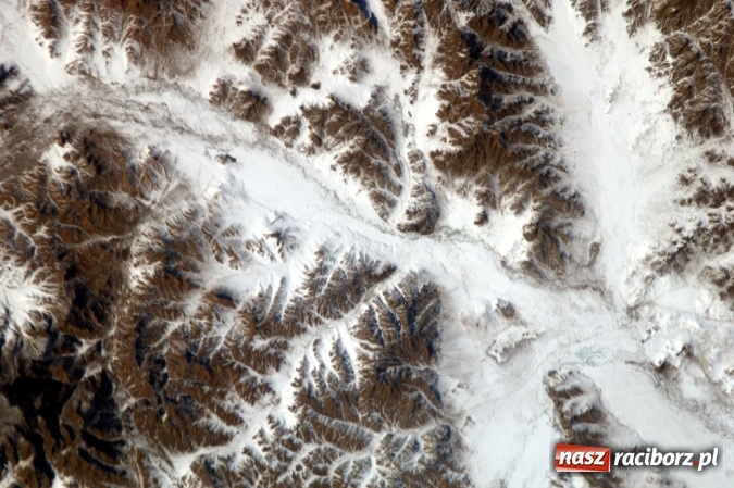 Zdjęcie w galerii na portalu naszraciborz.pl: Szkoła Podstawowa nr 1 realizuje projekt NASA wiadomości z regionu