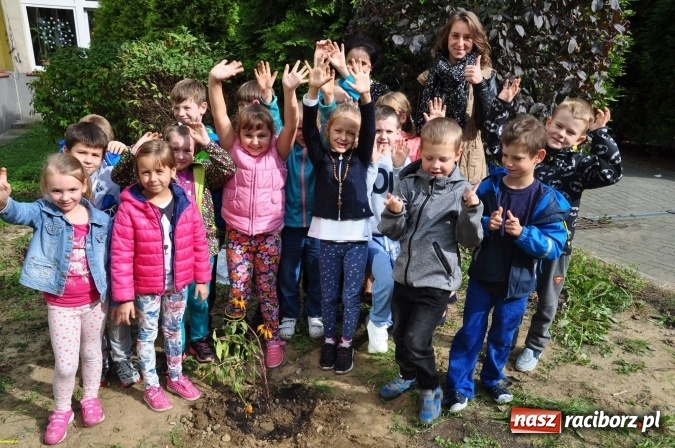 Zdjęcie w galerii na portalu naszraciborz.pl: Szkoła Podstawowa nr 18 im. Książąt Raciborskich w Raciborzu prowadzi zapisy do klas sportowych wiadomości z regionu