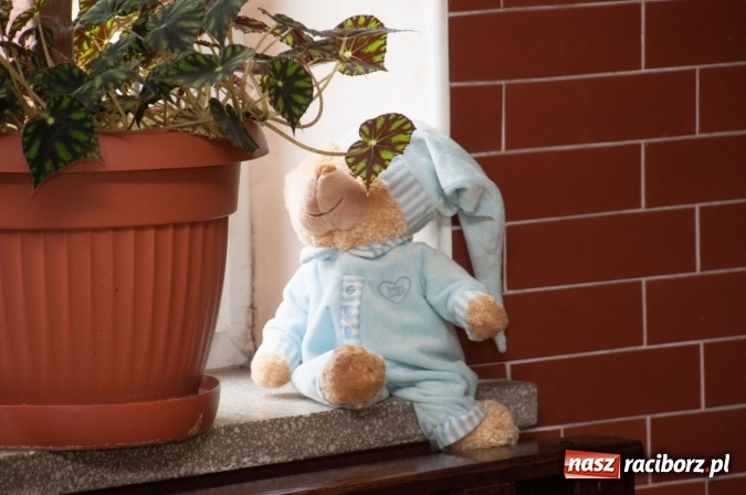 Zdjęcie w galerii na portalu naszraciborz.pl: Szkoła Podstawowa nr 18 im. Książąt Raciborskich w Raciborzu prowadzi zapisy do klas sportowych wiadomości z regionu