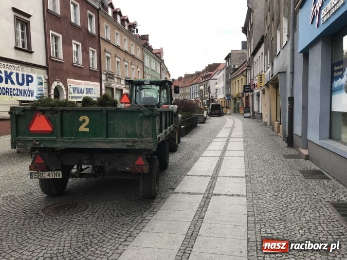 Zdjęcie w galerii na portalu naszraciborz.pl: Przebudowa ulicy Długiej w Raciborzu to nie tylko kwestia estetyki  wiadomości z regionu