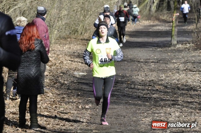 Zdjęcie w galerii na portalu naszraciborz.pl: VI Bieg Twardziela. Piękna pogoda, trudna trasa, rekordowa liczba uczestników wiadomości z regionu