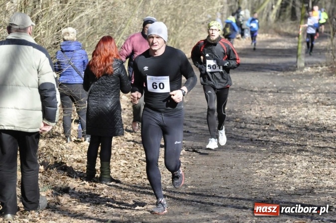 Zdjęcie w galerii na portalu naszraciborz.pl: VI Bieg Twardziela. Piękna pogoda, trudna trasa, rekordowa liczba uczestników wiadomości z regionu