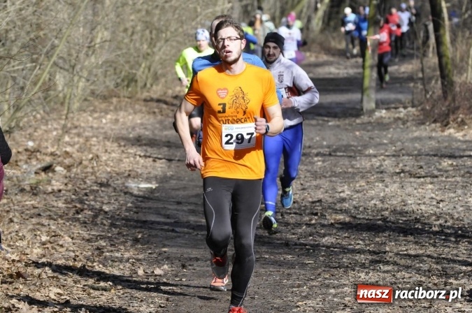 Zdjęcie w galerii na portalu naszraciborz.pl: VI Bieg Twardziela. Piękna pogoda, trudna trasa, rekordowa liczba uczestników wiadomości z regionu