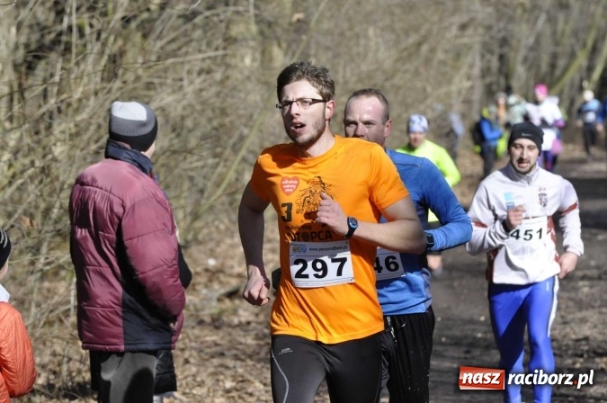 Zdjęcie w galerii na portalu naszraciborz.pl: VI Bieg Twardziela. Piękna pogoda, trudna trasa, rekordowa liczba uczestników wiadomości z regionu