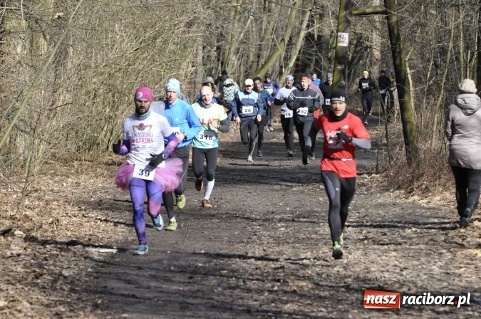 Zdjęcie w galerii na portalu naszraciborz.pl: VI Bieg Twardziela. Piękna pogoda, trudna trasa, rekordowa liczba uczestników wiadomości z regionu