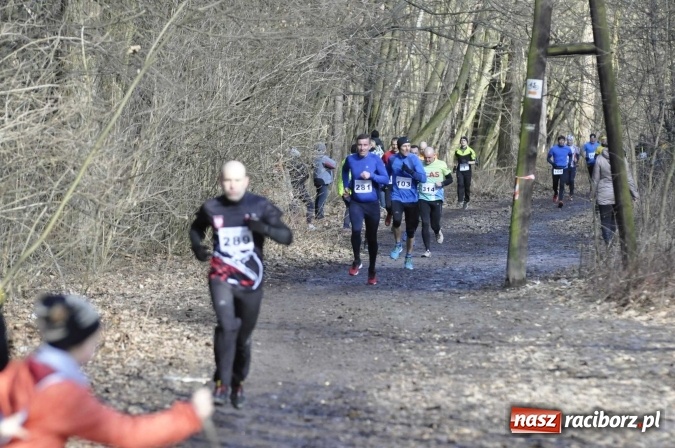 Zdjęcie w galerii na portalu naszraciborz.pl: VI Bieg Twardziela. Piękna pogoda, trudna trasa, rekordowa liczba uczestników wiadomości z regionu
