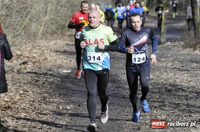 Zdjęcie w galerii na portalu naszraciborz.pl: VI Bieg Twardziela. Piękna pogoda, trudna trasa, rekordowa liczba uczestników wiadomości z regionu