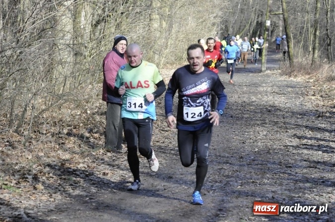 Zdjęcie w galerii na portalu naszraciborz.pl: VI Bieg Twardziela. Piękna pogoda, trudna trasa, rekordowa liczba uczestników wiadomości z regionu