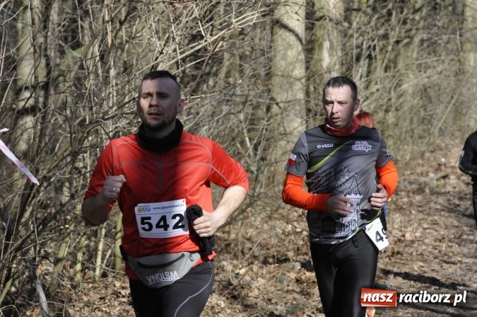 Zdjęcie w galerii na portalu naszraciborz.pl: VI Bieg Twardziela. Piękna pogoda, trudna trasa, rekordowa liczba uczestników wiadomości z regionu